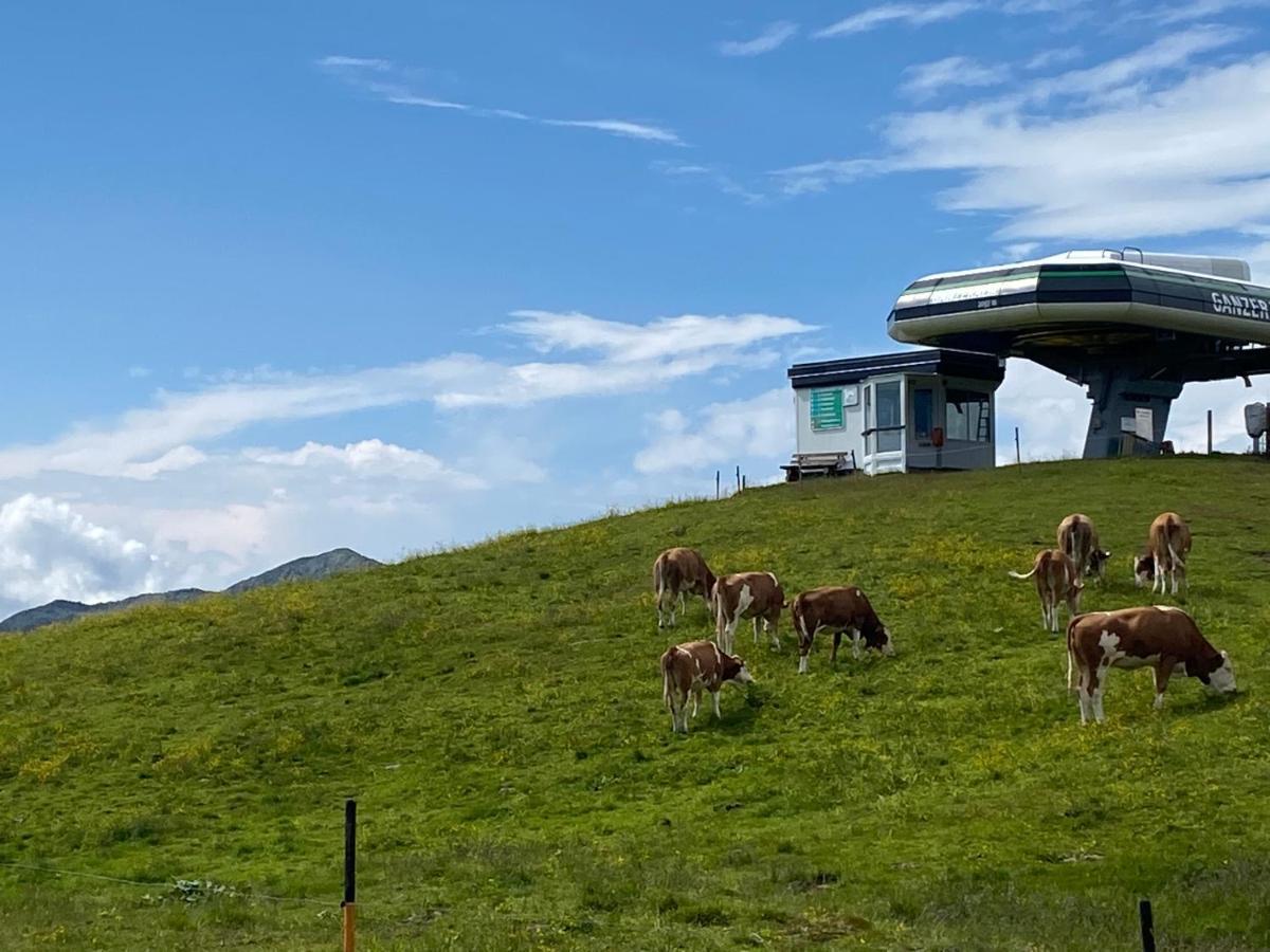 Penthaus Kitzebueheler Alpen Apartment นอยเคียร์เชน อัม โกรสเวเนดิเกอร์ ภายนอก รูปภาพ